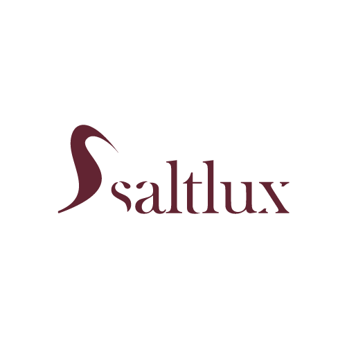 1-saltlux